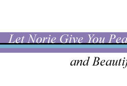 Let Norie Give You Peace of Mind and Beautiful Beginnings